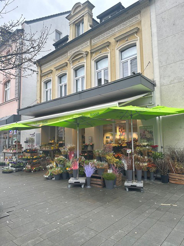 Neues Glücksgefühl nach Umbau in BergischGladbach Blumen Risse