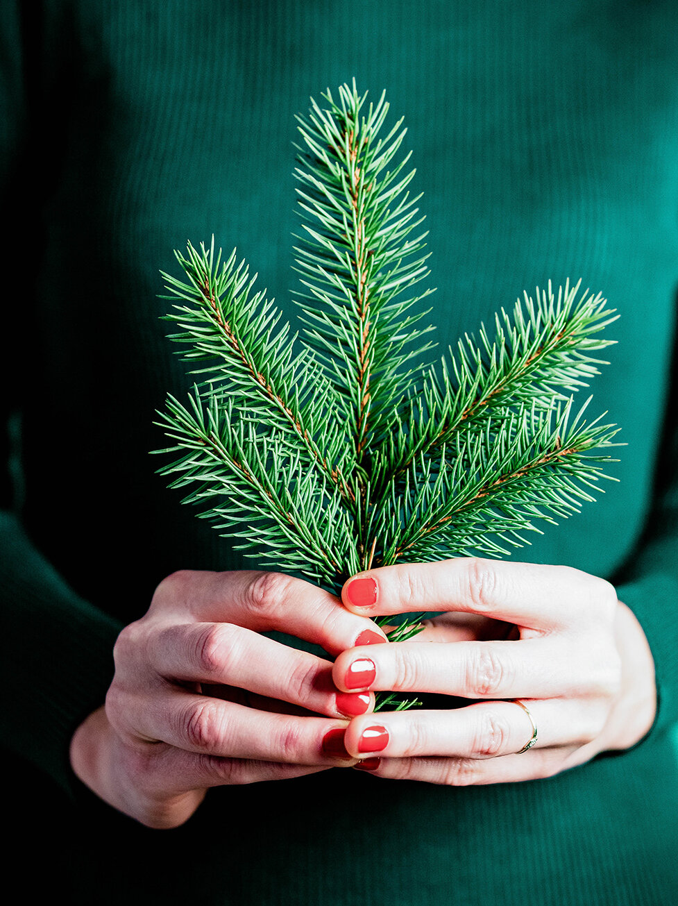Blumen-Risse, Ratgeber, Winter, der-Weihnachtbaum, Gruen, Beige, Rot, weibliche-Haende-mit-roten-Fingernaegeln-halten-Tannenast-vor-gruenem-Pollover
