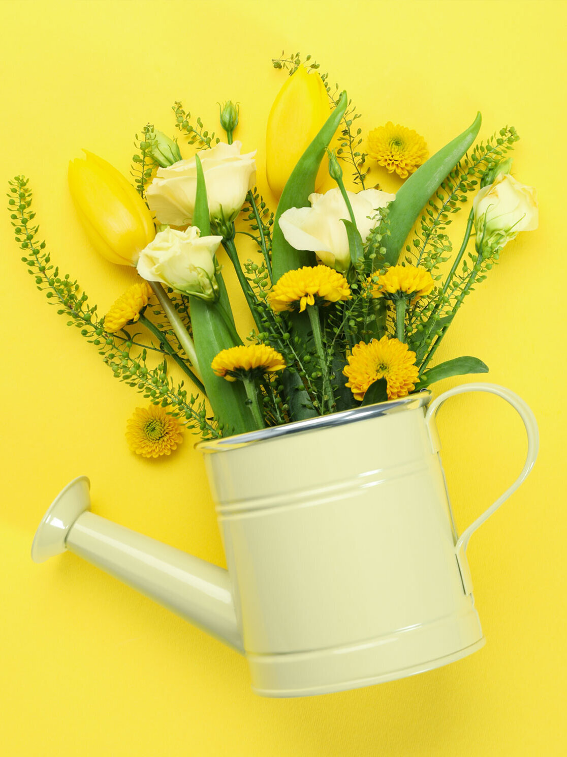 Blumen-Risse, Sortiment, Blumen, Gelb, Giesskanne, Gruen