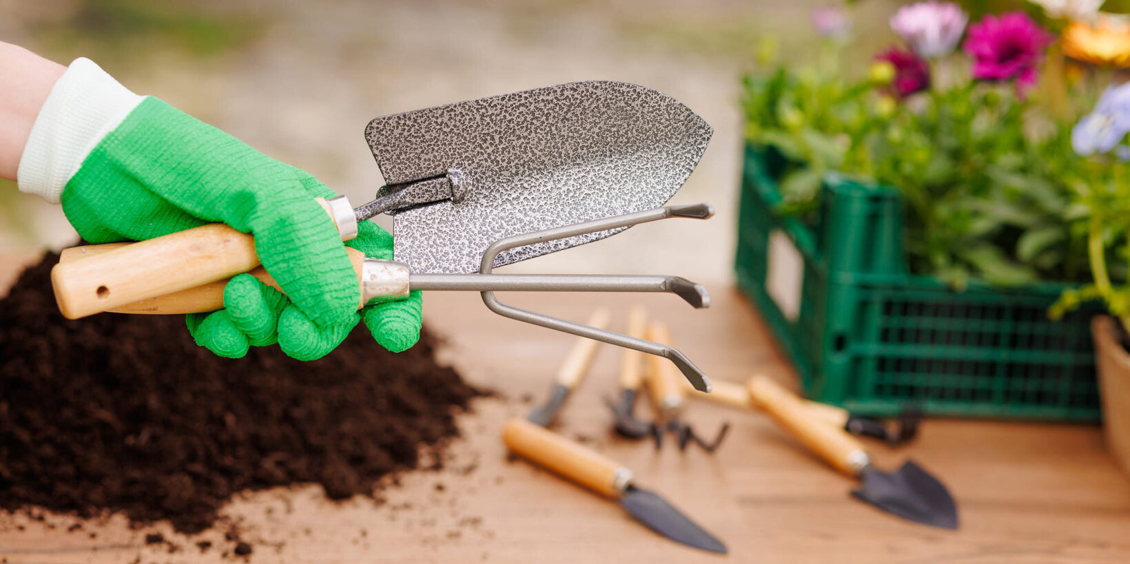 Blumen Risse, Sortiment, Gartentechnik, Gartenwerkzeuge, Kelle, Hacke, Hand, Handschuh, Grün, Holztisch, Pflanzen, Einpflanzung, Vorbereitung