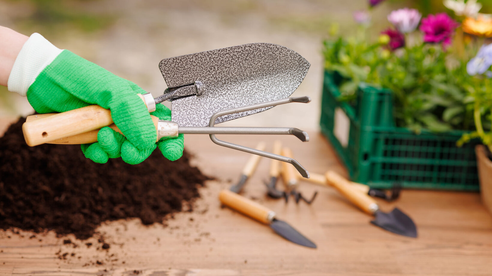 Blumen Risse, Sortiment, Gartentechnik, Gartenwerkzeuge, Kelle, Hacke, Hand, Handschuh, Grün, Holztisch, Pflanzen, Einpflanzung, Vorbereitung