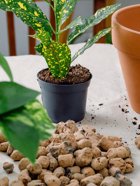 Blumen Risse, Sortiment, Garten, Erde, Braun, Beige, Grün, Gelb, Grau, Blumenerde, Spezialerde, Granulat, Pflanztopf, Tisch, Einpflanzen, Umtopfen