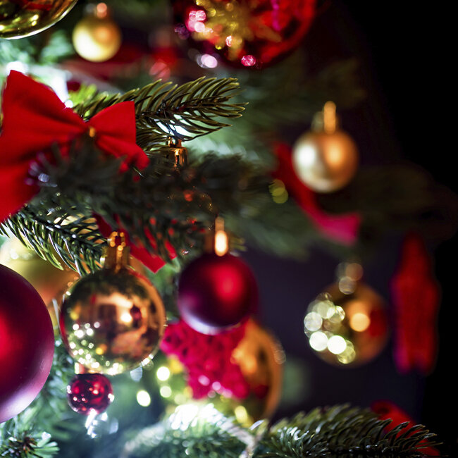 Hier findest Du Tipps für die festliche Dekoration Deines Weihnachtsbaums!