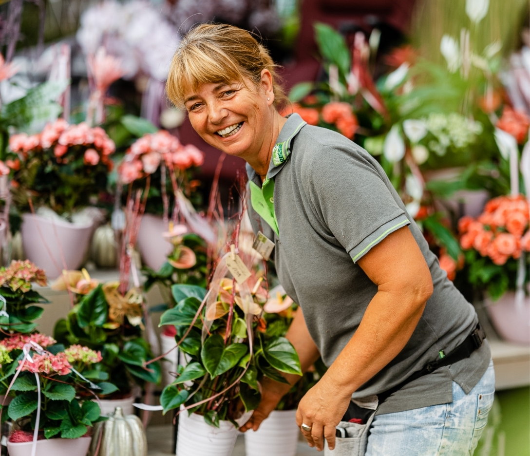 Blumen-Risse, Karriere, Blumen, Person, Gruen, Orange, Rosa