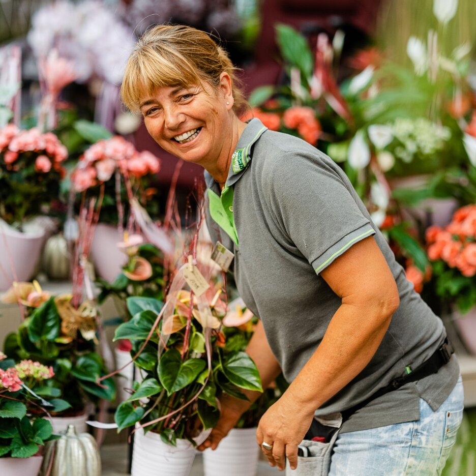 Blumen-Risse, Karriere, Blumen, Person, Gruen, Orange, Rosa