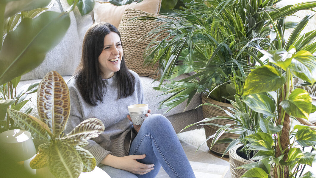 Bei Blumen Risse kannst Du Zimmerpflanzen ganz einfach online kaufen.