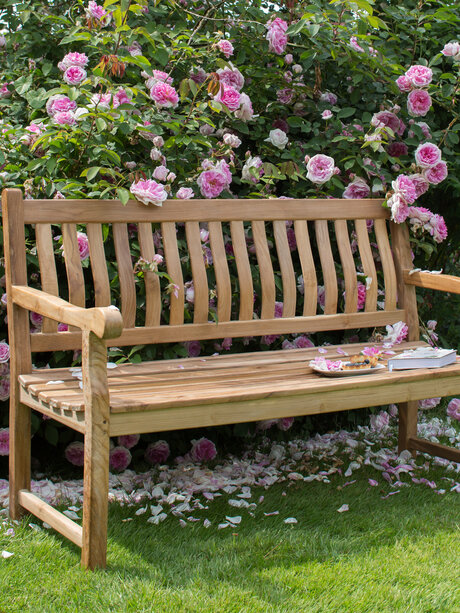 Blumen Risse, Gartenbank, DeVries, Bank, Holzbank, Rosenstrauch, Rosenblüten, Pink, Wiese