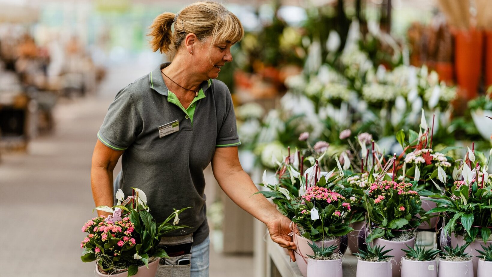 Blumen-Risse, Karriere, Blumen, Pflanzen