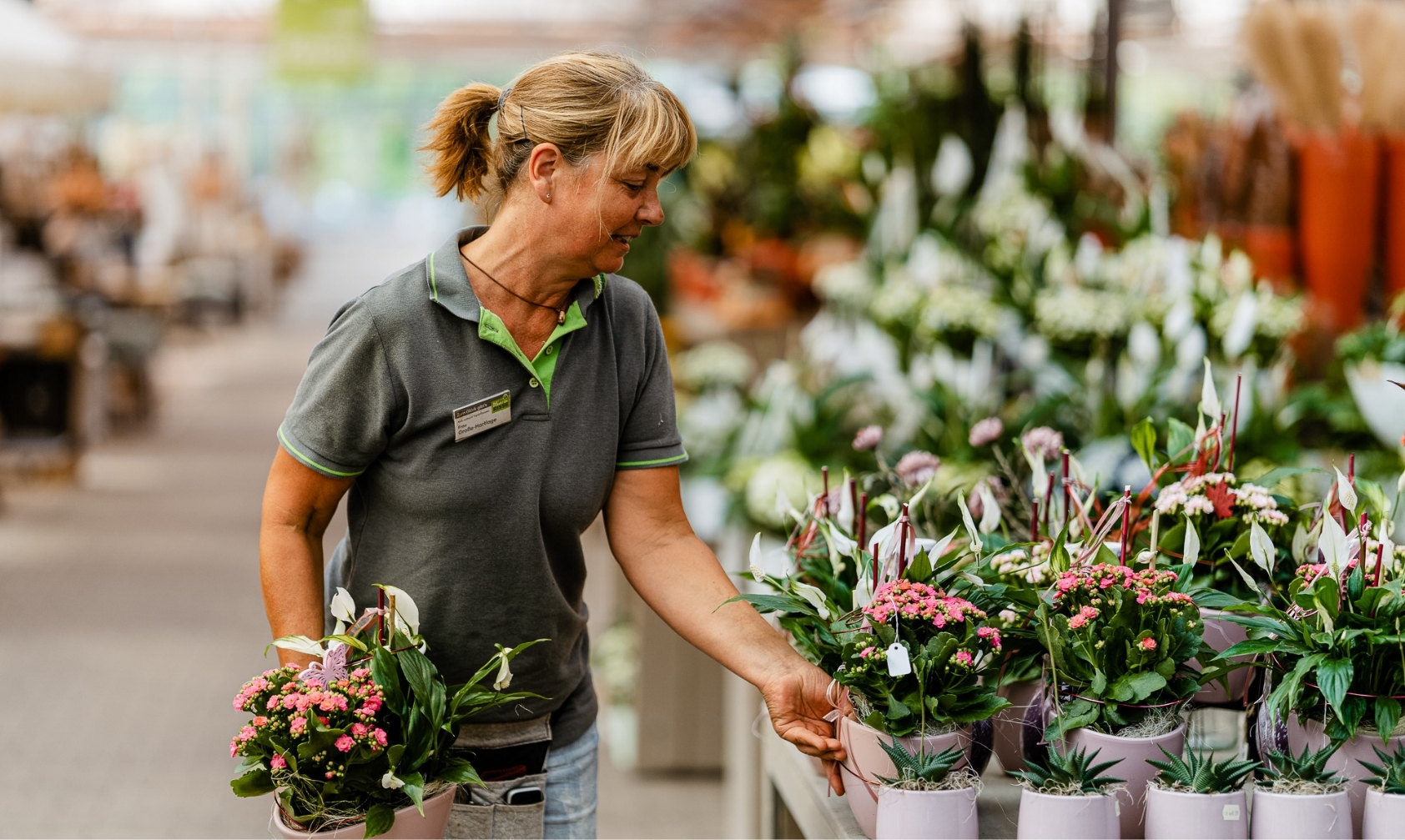 Blumen-Risse, Karriere, Blumen, Pflanzen