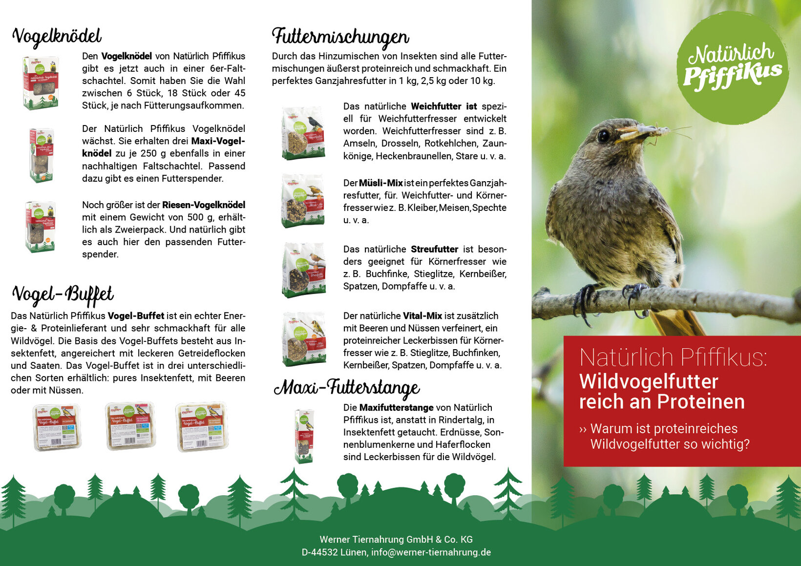 Blumen-Risse, Landingpages, Pfiffikus, Flyer