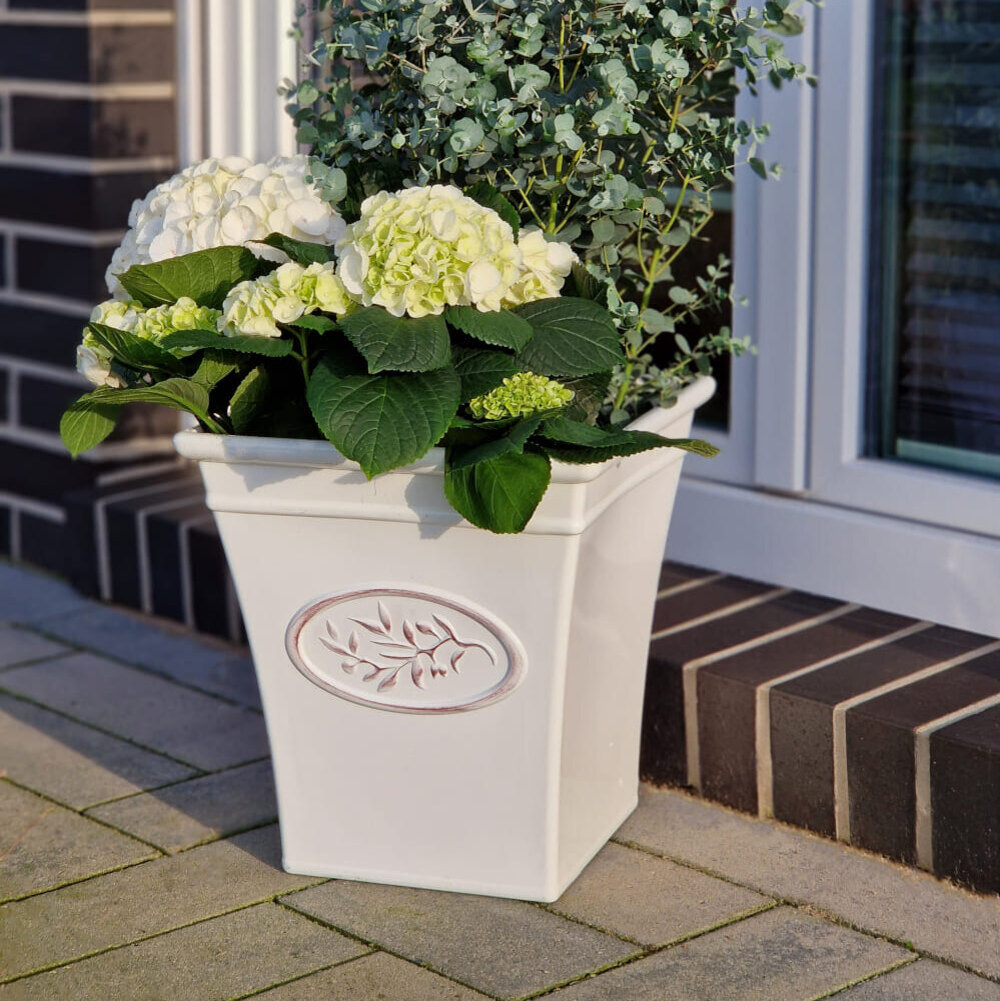 Blumen Risse, Home & Garden, Pflanzkübel, Blumentopf, Weiß, Bepflanzt, Hortensie, Weiß, Grün