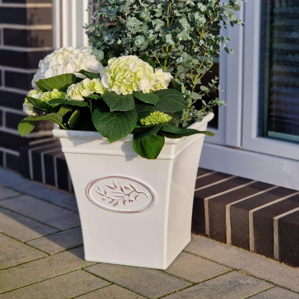 Home & Garden - Blumen Risse