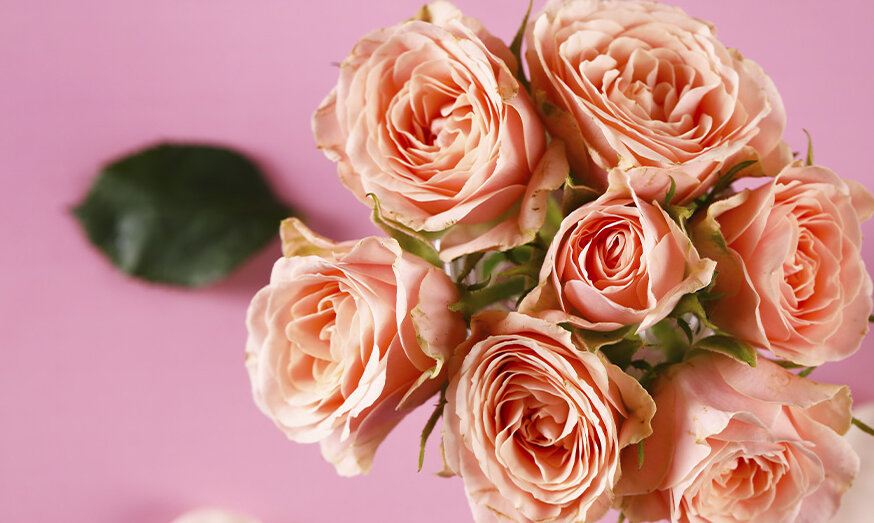 Bestelle Rosen online und mache anderen eine Freude!