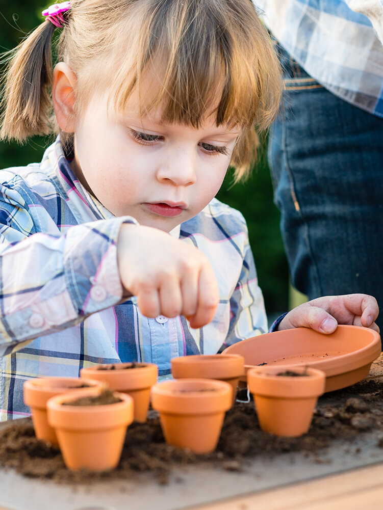 Blumen-Risse, Vor-Ort-News, Pflanz-Aktion-fuer-Kinder, Gartencenter-und-Blumenmaerkte, Kind-pflanzt-Saatgut-in-Tontoepfe-ein