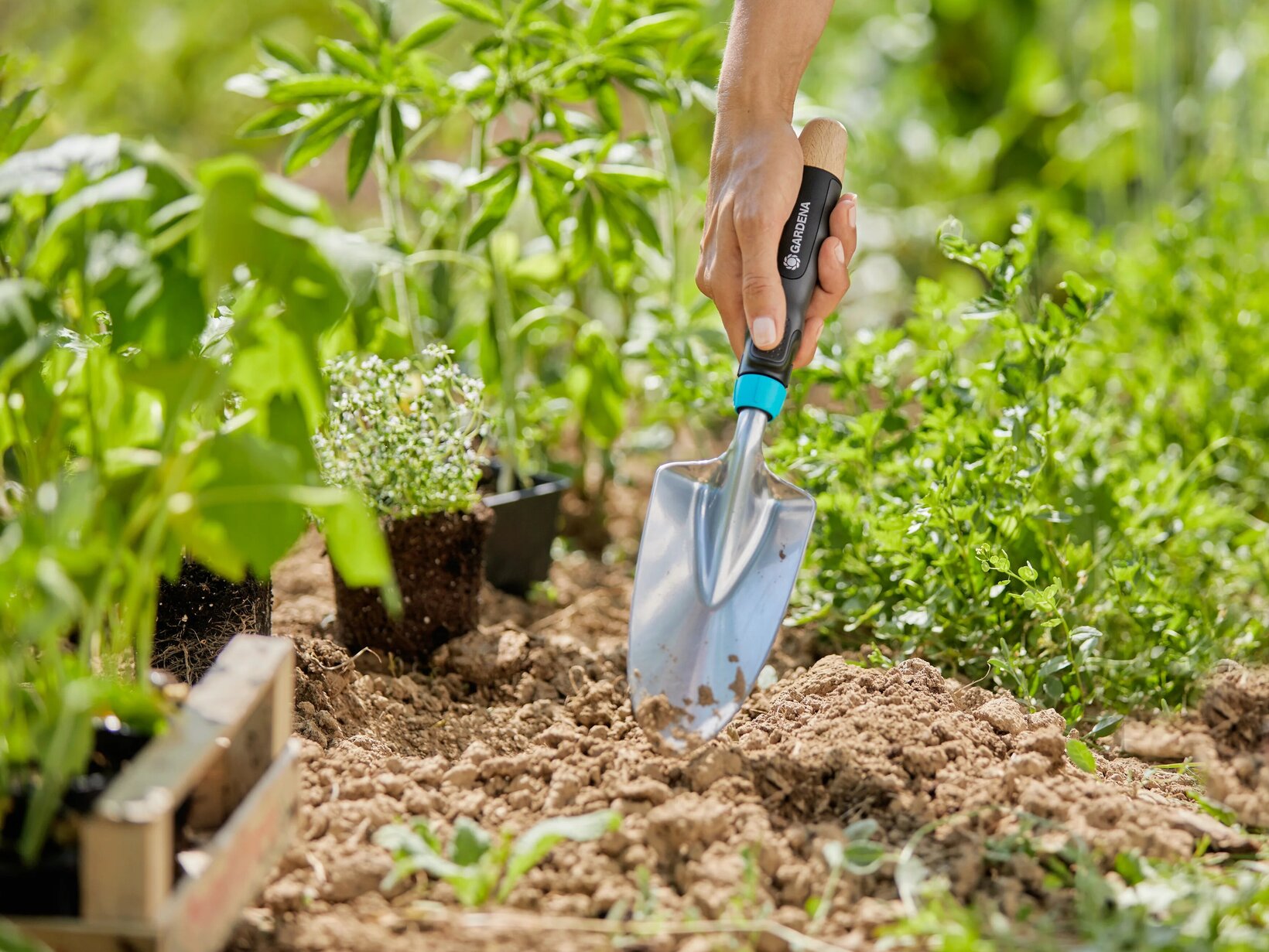 Blumen Risse, Sortiment, Gartentechnik, Gartenwerkzeuge, Markenwelt, Gardena, Kelle, Hand, Erde, Stich, Einpflanzen, Pflanzen, Erdballen, Sommer