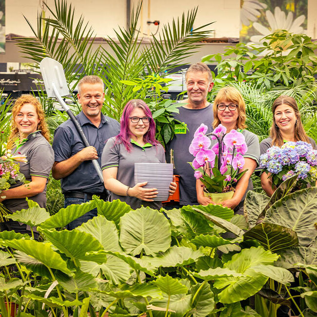 Blumen-Risse, Karriere, Gruen, Grau, Blau, Rot, Rosa, Florist, Gaertner, Abteilungsleiter, Kaufmaennischer, Mitarbeiter, Arbeiten-bei-blumen-Risse
