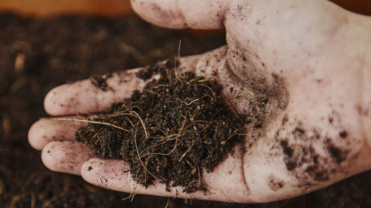 Blumen Risse, Sortiment, Garten, Erde, Braun, Beige, Blumenerde, Spezialerde, Hand, fuehlen