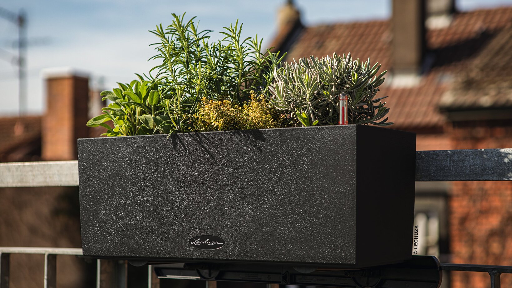 Blumen Risse, Sortiment, Gefäße, Blumenkasten, Schwarz, Bepflanzt, Grün, Geländer, Schwarz, Balkon, Hausdach, Sommer