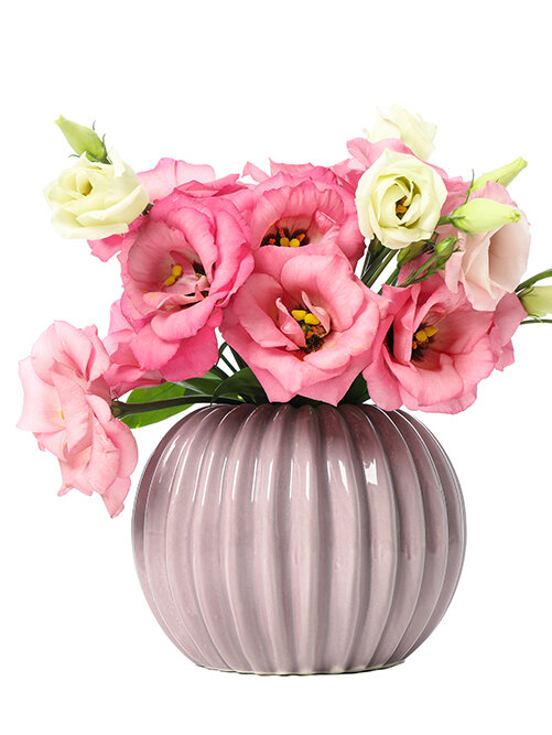 Lisianthus - Blumen Risse