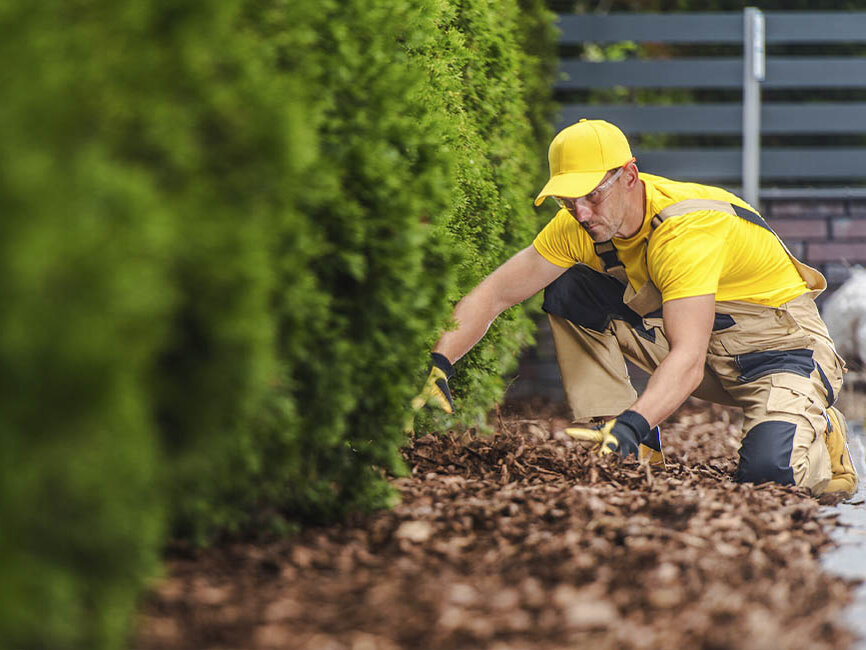 Gartenerde kaufen und richtig mulchen mit den Experten-Tipps von Blumen Risse.