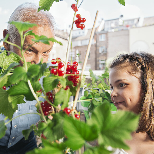 dünger für weinreben kaufen Weinreben Dünger Flora Boost PRO main image 1