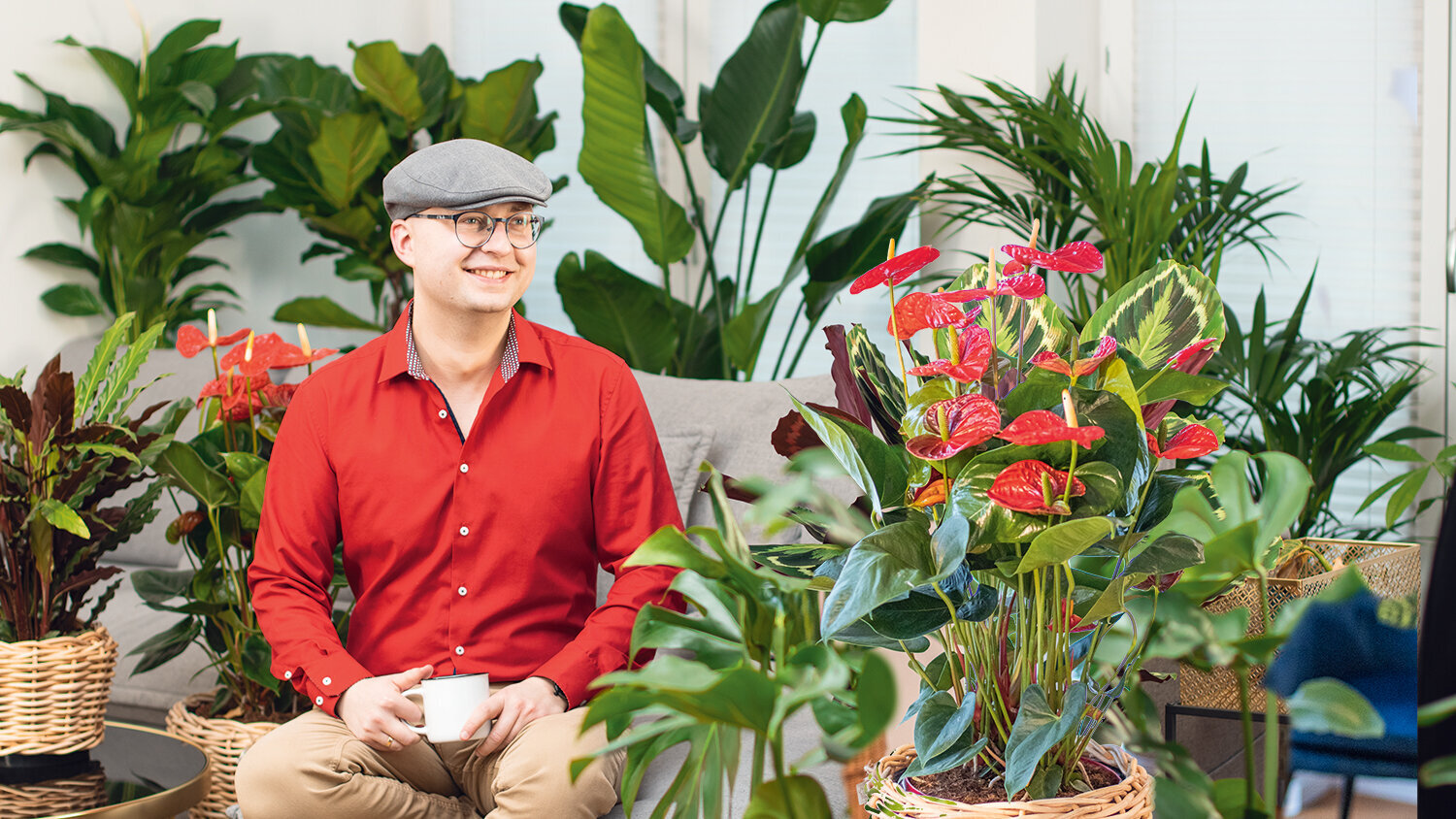 Ratgeber, Zimmerpflanzen, Gruenpflanzen, sitzender-Mann-zwischen-vielen-Gruenpflanzen-in-Wohnzimmer