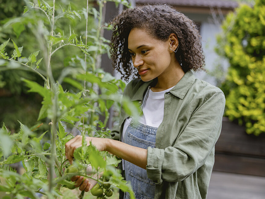 Blumen-Risse, Ratgeber, Frühling, Gemüsepflanzen-pflege, Frau-bindet-Tomatenpflanzen-in-Gewächshaus-hoch