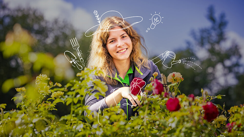 Blumen-Risse, Karriere, Gaertner, Gruen, Grau, Blau, Rot, Person, Rosen, pflegen, Arbeiten-bei-blumen-Risse