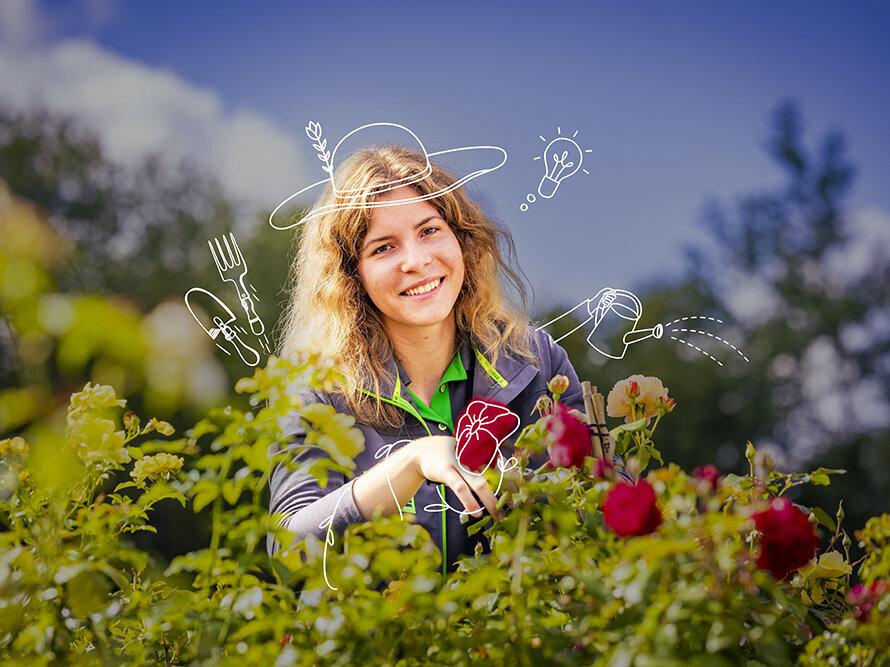 Blumen-Risse, Karriere, Gaertner, Gruen, Grau, Blau, Rot, Person, Rosen, pflegen, Arbeiten-bei-blumen-Risse