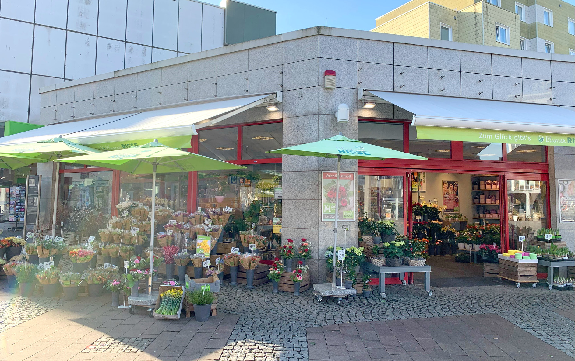 60+ Blumen 2000 Herne, Über filiale blume2000 im rewe center herne