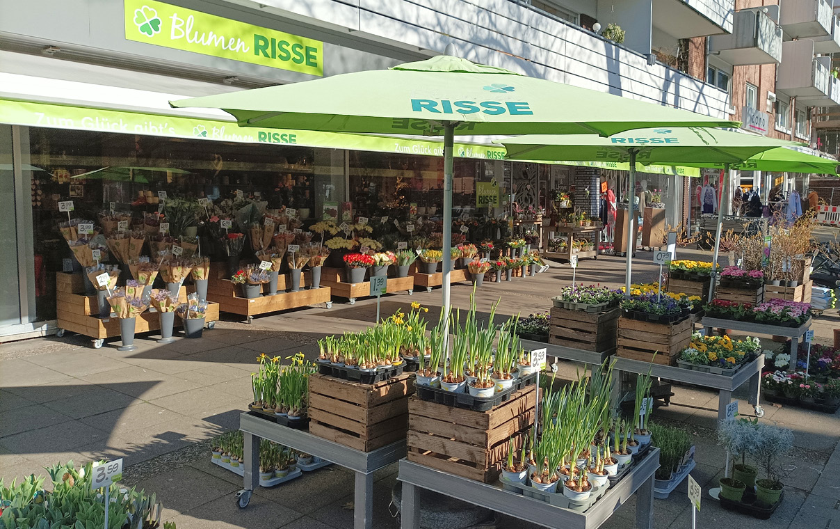 Blumenladen MünsterHiltrup Blumen Risse